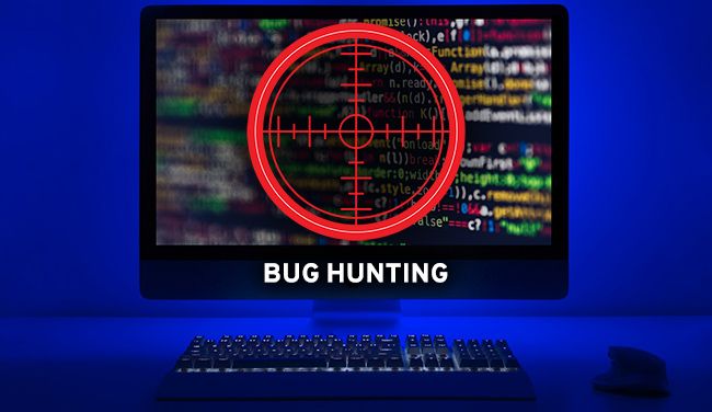 Bug Hunting | Pros and Cons